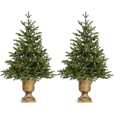 Fraser Hill Farm Set of Two 3-Ft. Noble Fir Artificial Trees with Metallic Urn Bases and Battery-Operated LED String Lights