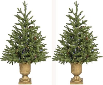 Fraser Hill Farm 3 ft. Pre-Lit Noble Fir Artificial Trees, Multicolor Lights, 2-Pack