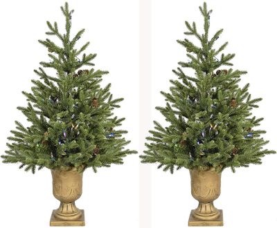 Fraser Hill Farm 3 ft. Noble Fir Trees, Multicolored Lights, 2-Pack