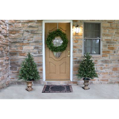 Image showing  4 ft. Pre-Lit Noble Fir Trees, Multicolor Lights, 2-Pack