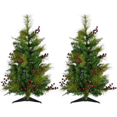 Fraser Hill Farm Set of Two 4-Ft. Newberry Pine Artificial Trees with Multi-Colored LED String Lights