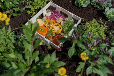 Image showing 3 th Vita 4x4 Keyhole Composting Garden