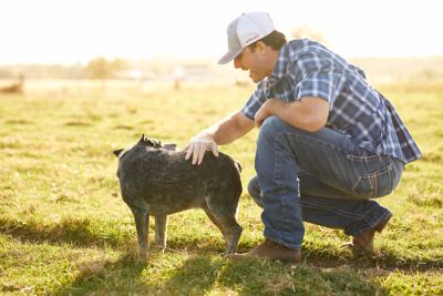 Image showing 4 th Ariat Men's Relaxed Fit Low-Rise M4 Coltrane Bootcut Jeans