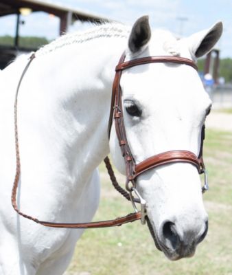 Image showing 6 th Huntley Equestrian Fancy-Stitched Raised English Leather Bridle, Cob, Conker Color