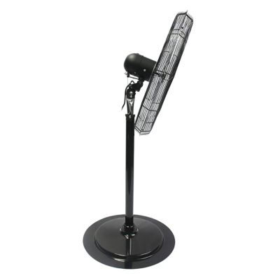 Image showing 7 th Maxx Air 30 in. Adjustable Height Oscillating Pedestal Fan, 3 Speeds, Black
