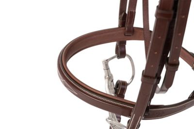 Image showing  Fancy-Stitched Raised Sedgwick Leather Padded English Bridle, Full