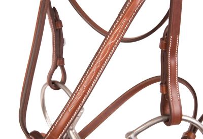 Image showing  Figure-8 Noseband