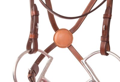 Image showing  Figure-8 Noseband