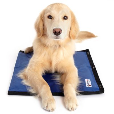 pets at home cooling mat