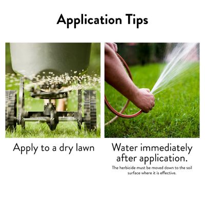 Image showing 6 th GreenView 13.5 lb. 5,000 sq. ft. Crabgrass Control and Lawn Food