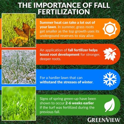 Image showing  16 lb. 5,000 sq. ft. Fall Lawn Food