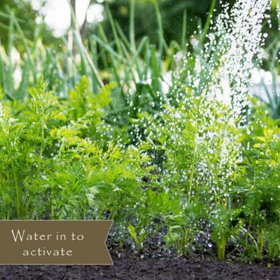 Image showing  25 lb. Natural Vegetable Garden Weed Preventer