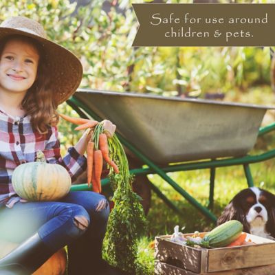 Image showing 5 th Preen 25 lb. Natural Vegetable Garden Weed Preventer