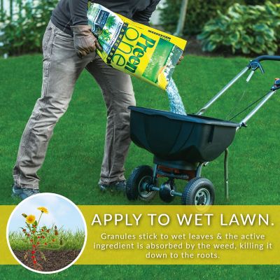 Image showing 5 th Preen 36 lb. 10,000 sq. ft. One Lawncare Weed Killer