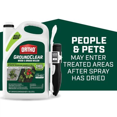 Image showing  1 gal. GroundClear Ready-to-Use Weed and Grass Killer