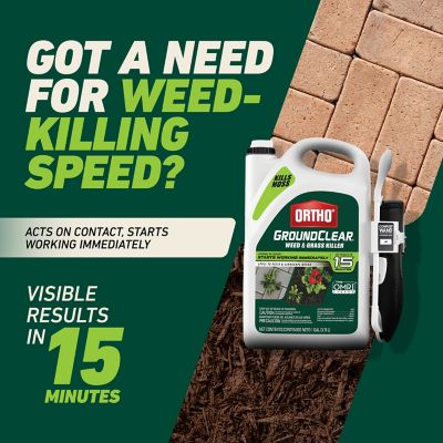 Image showing  1 gal. GroundClear Ready-to-Use Weed and Grass Killer