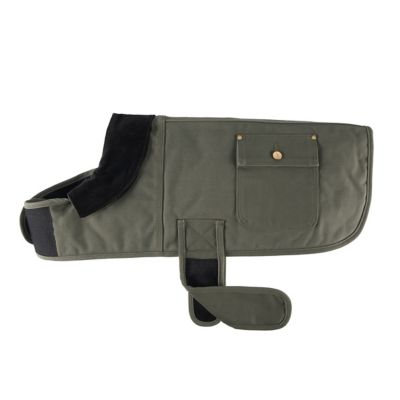 carhart dog jacket