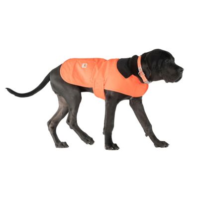 Image showing 7 th Carhartt Water-Repellent Dog Chore Coat