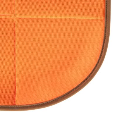 Image showing  Dog Safety Vest