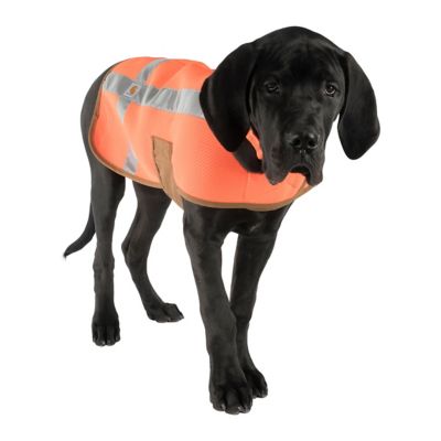 Image showing 5 th Carhartt Dog Safety Vest