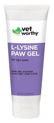 image of a Cat Vitamins