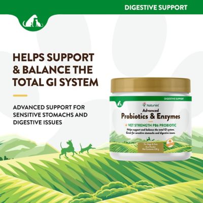 Image showing  Advanced Probiotics Enzymes Powder Digestive Supplement for Dogs, 8 oz.