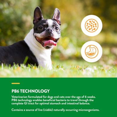 Image showing  Advanced Probiotics Enzymes Powder Digestive Supplement for Dogs, 8 oz.