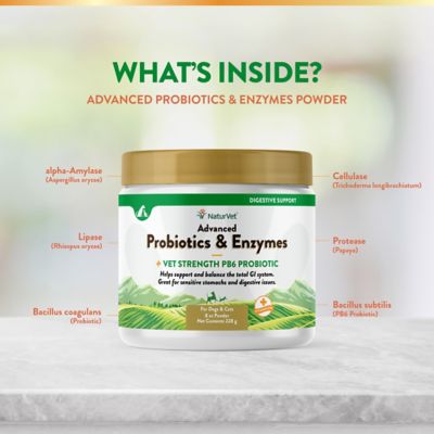 Image showing  Advanced Probiotics Enzymes Powder Digestive Supplement for Dogs, 8 oz.