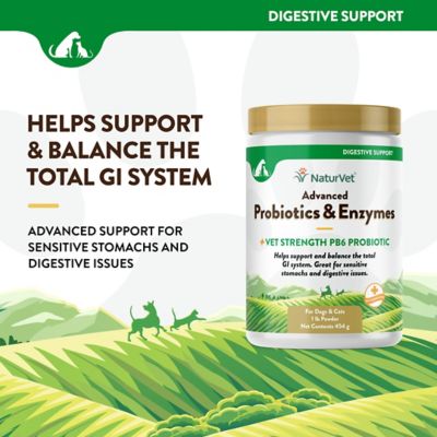 Image showing  Advanced Probiotics Enzymes Powder Digestive Supplement for Dogs, 1.22 lb.