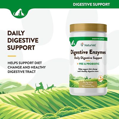 Image showing  Digestive Enzymes Powder for Dogs and Cats