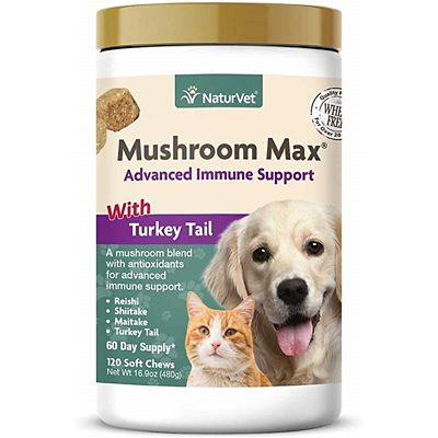 Turkey tail outlet supplement for dogs