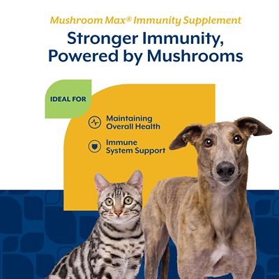 Image showing  Mushroom Max Advanced Immune Support Soft Chews for Dogs and Cats