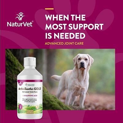 Image showing  ArthriSoothe-GOLD Joint Support Level 3, Advanced Care Joint Support for Dogs and Cats