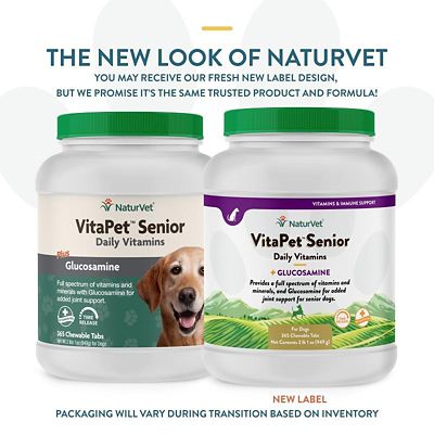 Image showing  VitaPet Senior Daily Glucosamine and Multi-Vitamin Soft Chewable Supplements for Dogs, 365 ct.