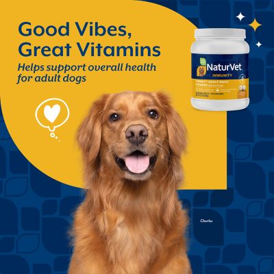 Image showing  VitaPet Daily Vitamin Tablets for Adult Dogs