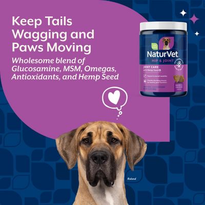 Image showing  Hemp Joint Health Hip and Joint Chewable Supplements for Dogs, 1.04 lb., 120 ct.