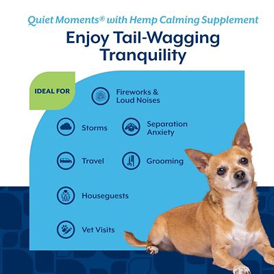 Image showing  Hemp Quiet Moments Plus Hemp Seed Soft Chewable Calming Supplement Treats for Dogs, 180 ct.