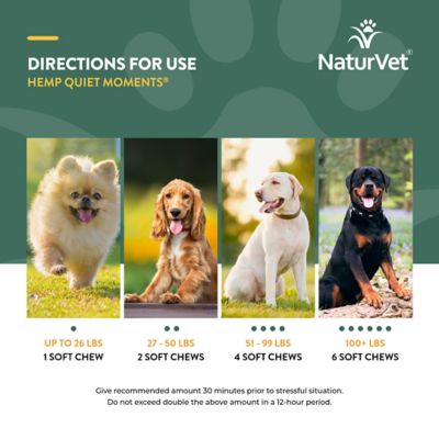 Image showing 6 th NaturVet Hemp Quiet Moments Plus Hemp Seed Soft Chewable Calming Supplement Treats for Dogs, 180 ct.