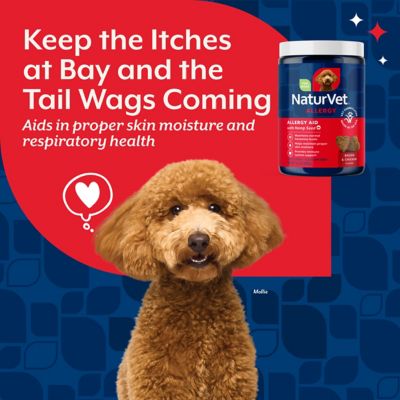 Image showing  Hemp Allergy Aid Plus Hemp Seed Soft Chews for Dogs