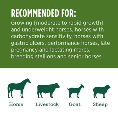 Image showing  Premium Western Forage Premium Organic Alfalfa Grab and Go Compressed Hay Bale, 50 lb.