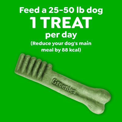 Image showing 8 th Greenies Dental Dog Treats for Regular Dogs 25-50 lb.