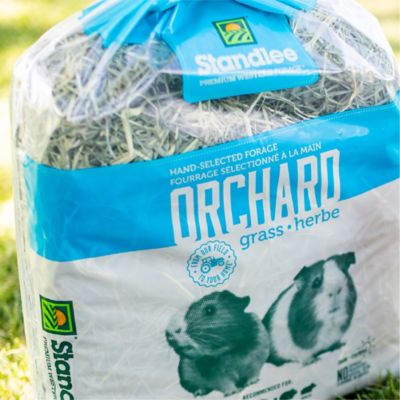 Image showing  Premium Western Forage Orchard Grass Small Animal Treat, 18 oz.