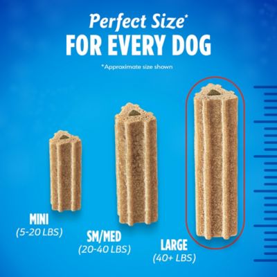 Image showing  Honey Flavor Large Dental Care Dog Chews, 24.1 oz., 21 ct.