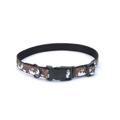 tsc dog collars