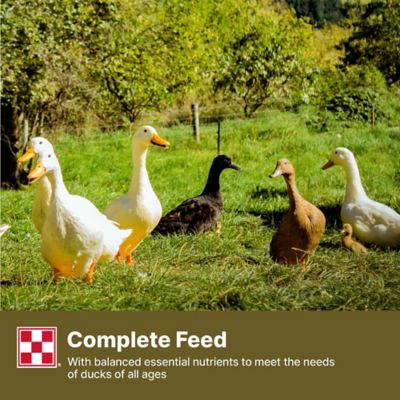 Image showing  Pelleted Duck Feed