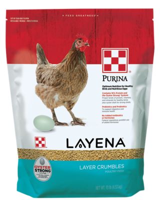 Purina Layena Layer Crumbles Poultry Feed, 10 lb.