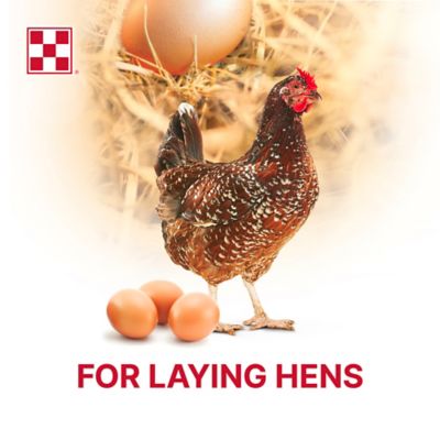 Image showing  Layena and Omega-3 Layer Pelleted Chicken Feed