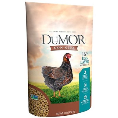 DuMOR 16% Egg Layer Pelleted Non-GMO Mini Chicken Feed, 10 lb. Bag