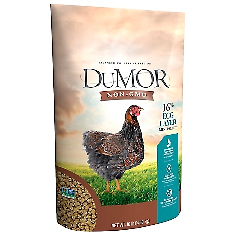 DuMOR Non-GMO 16% Egg Layer Mini Pellet Poultry Feed, 10 lb.