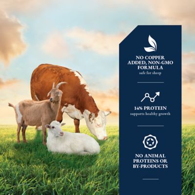 Image showing  Non-GMO All Stock Pelleted Livestock Feed